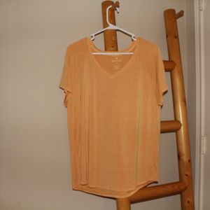 Orange V-neck Tee (American Eagle)